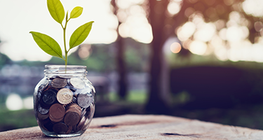 Jar full of money with plant growing out of jar